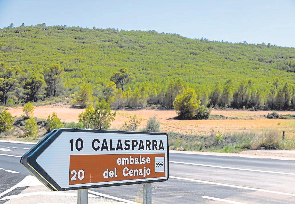 Las llamas llegaron al monte situado entre la Muela del Cerezo y el santuario de Nuestra Señora de la Esperanza.