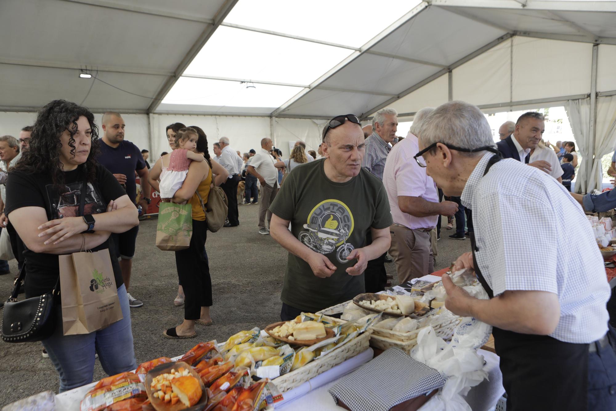 Feria de los Quesos Artesanos de La Foz