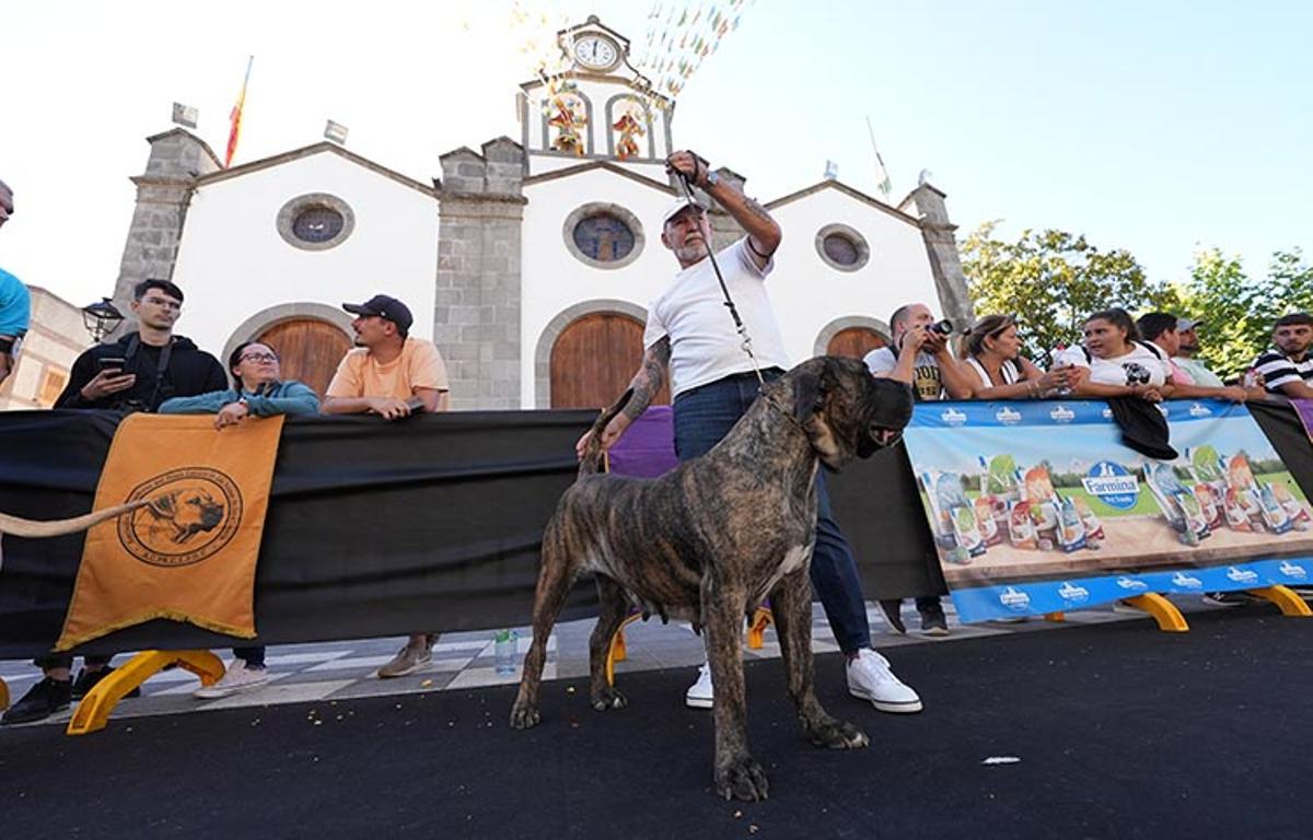 Uno de los concursos en Valleseco.