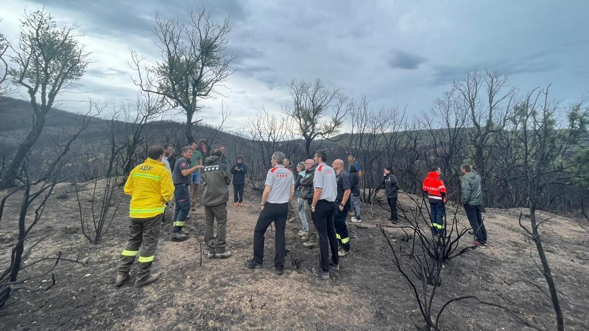 El Consell Comarcal del Baix Empordà analitza amb els cossos d'emergència la gestió de l'incendi de les Gavarres