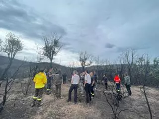 El Consell Comarcal del Baix Empordà analitza amb els cossos d'emergència la gestió de l'incendi de les Gavarres