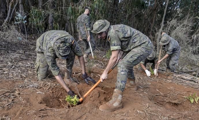 09/10/2017 FIRGAS. el Coronel Jefe del Regimiento de InfanterÍa del Ejército de Tierra, Marcelo de Carlos Huarte, y el consejero de Medio Ambiente, Miguel Ángel Rodríguez, presentaron la plantación que llevan a cabo el Ejército y el Cabildo en el Parque Rural de Doramas, en unos terrenos del Marquesado de Arucas. Se trata de una colaboración enmarcada en la restauración del ecosistema del monteverde que promueve el Proyecto LIFE+ Rabiche. FOTO: J. PÉREZ CURBELO