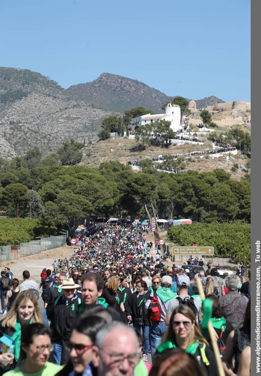 Romeria de les Canyes a la Magdalena