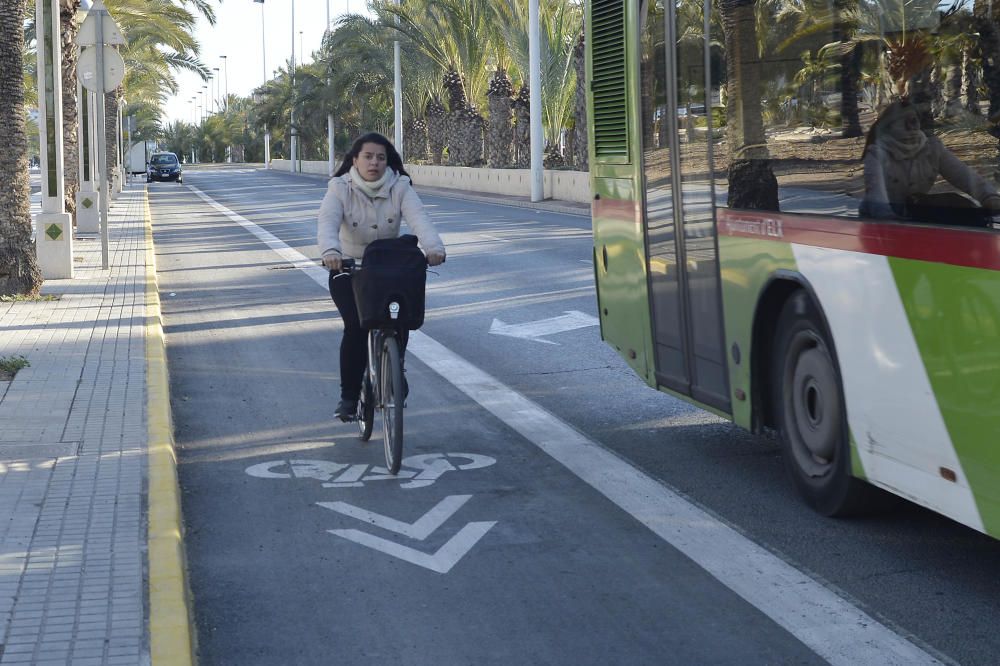 El carril bici en la avenida de la universidad