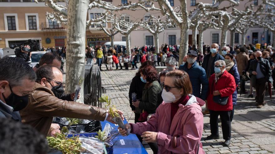 GALERÍA | La Diputación de Zamora celebra el Día del Árbol