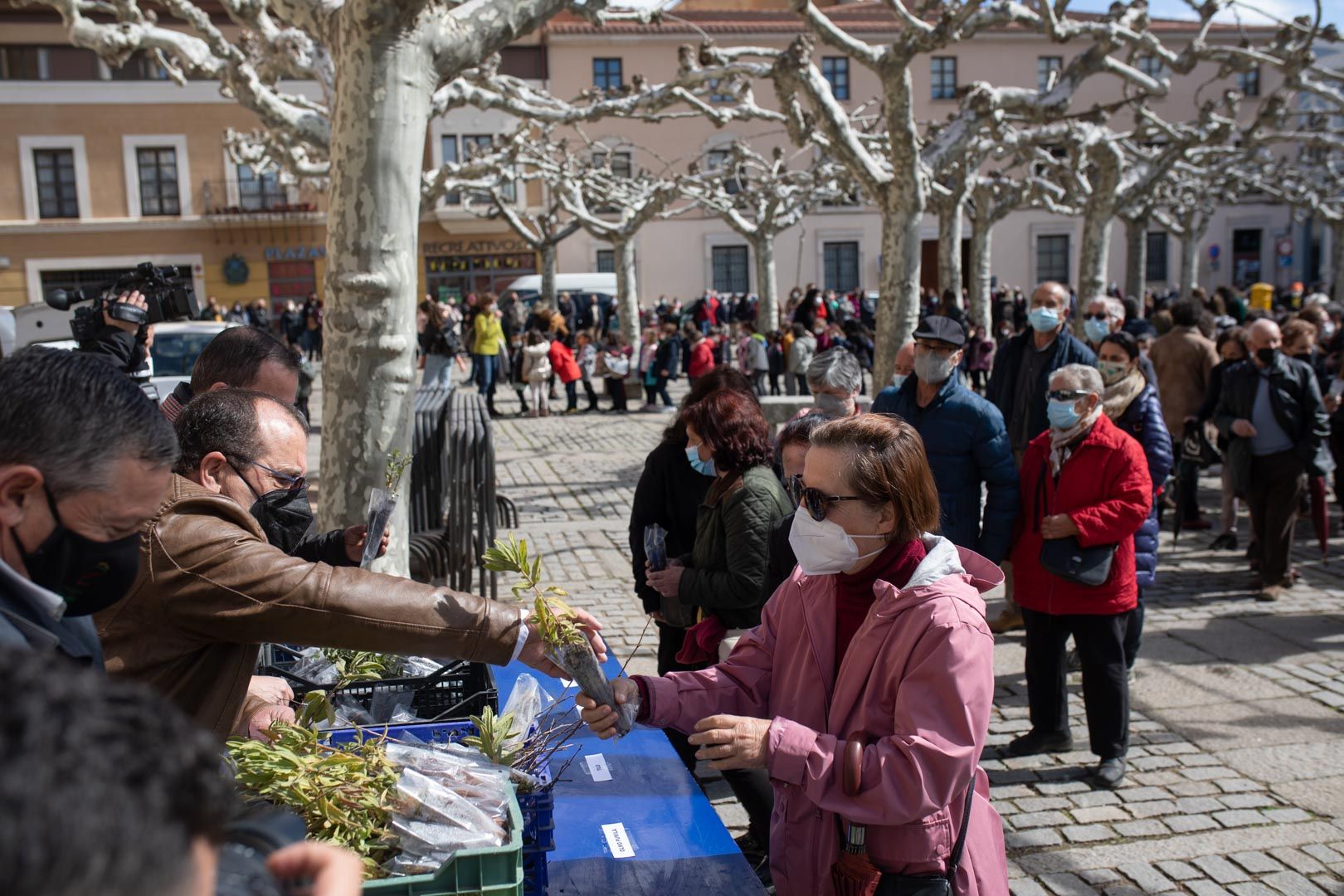 GALERÍA | La Diputación de Zamora celebra el Día del Árbol