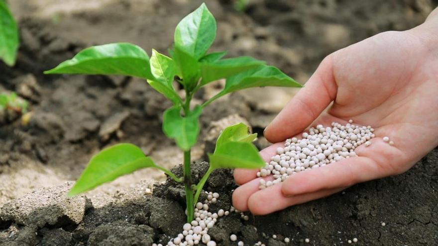 Los 33 millones de las ayudas para fertilizantes a agricultores extremeños se cobran este viernes