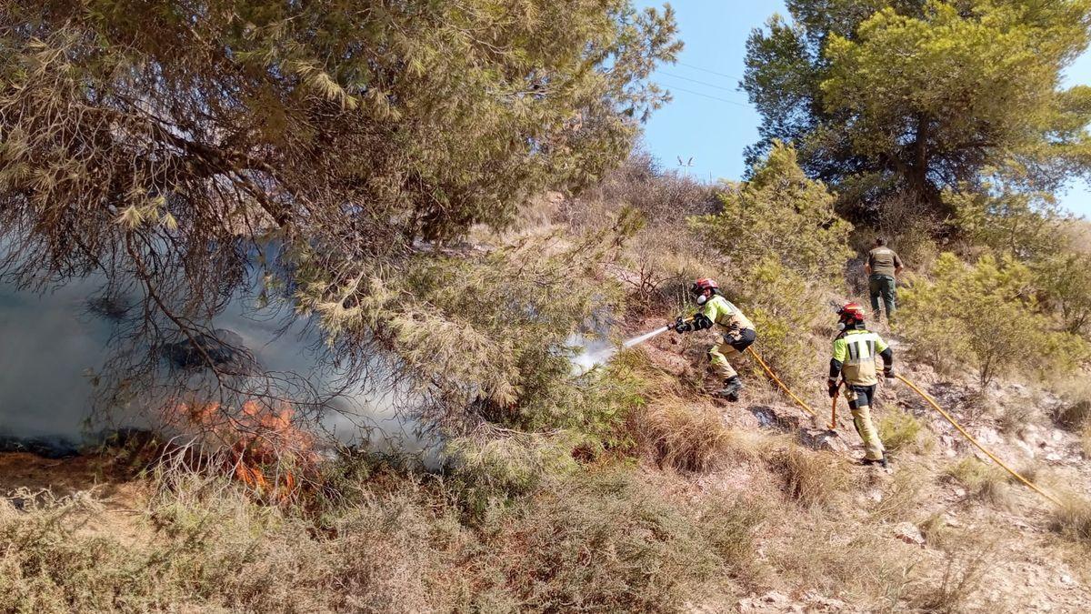 Bomberos actuando contra el fuego en la Algameca Chica.