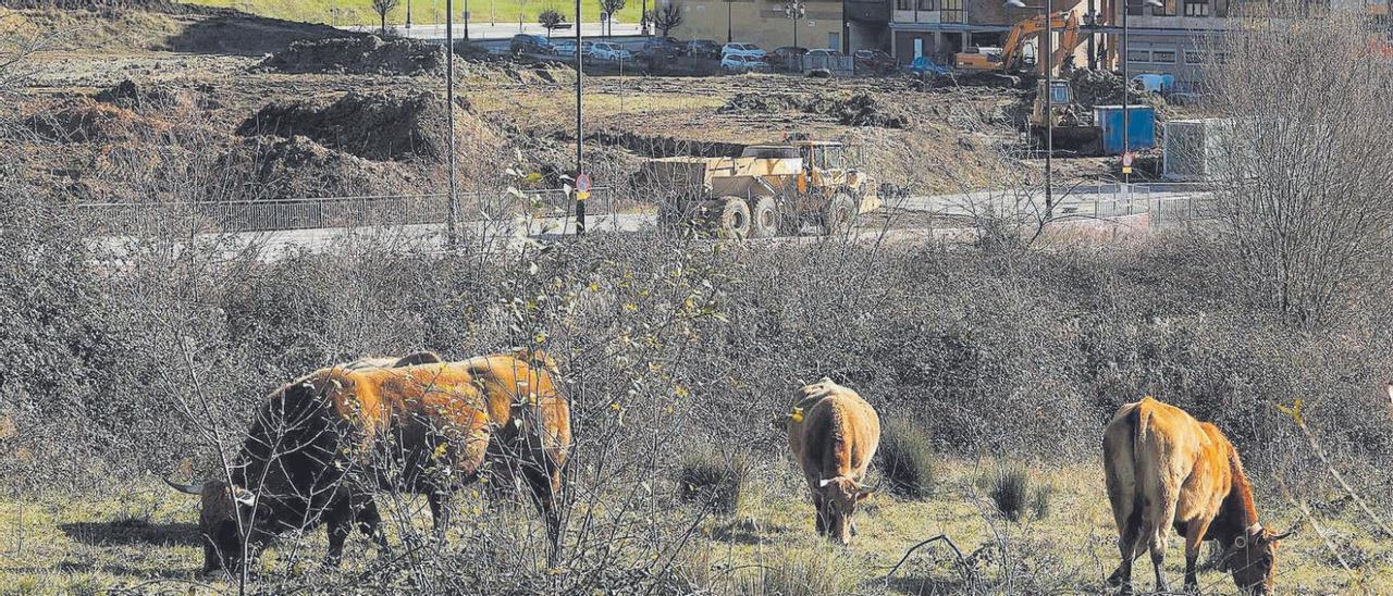 Vacas pastando junto a las obras del nuevo recinto ferial de La Florida. | |  LUISMA MURIAS