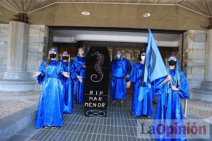 Protesta contra el estado del Mar Menor en la puerta de la Asamblea