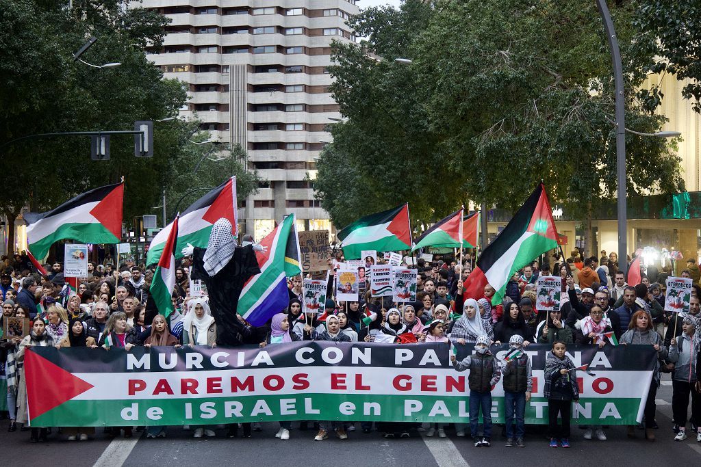 Todas las imagenes de la manifestación por la paz en Palestina de ...