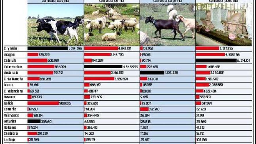 Asturias roza  las 400.000 vacas