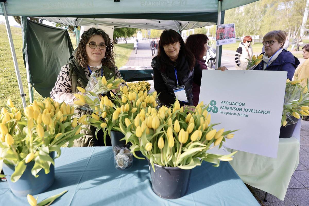 Tulipanes en el Rastro.