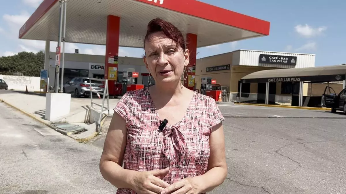 Podemos exige atajar el abandono masivo de animales de compañía en verano