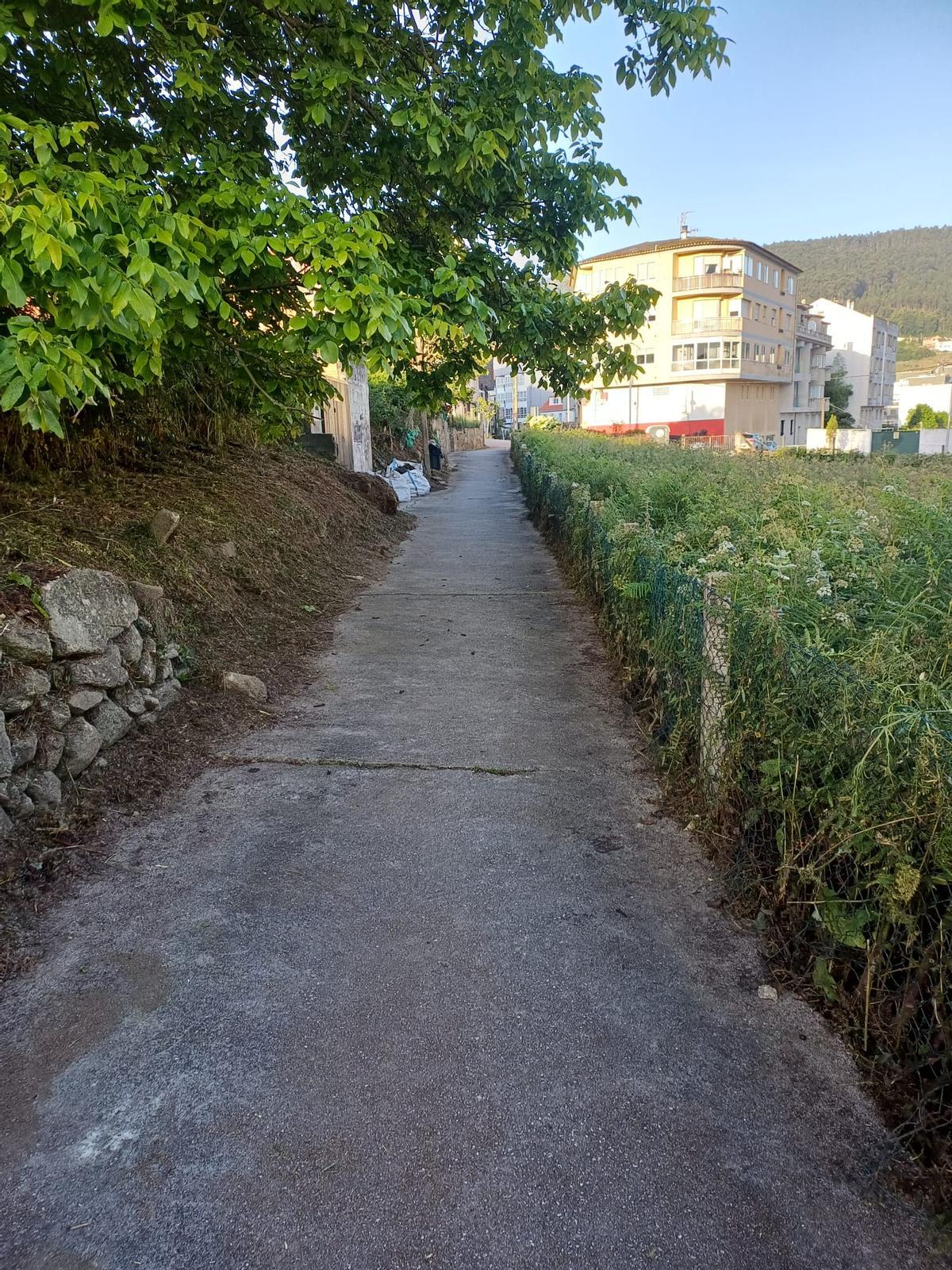 Camino desbrozado en el entorno de Canibelos y Castelao.