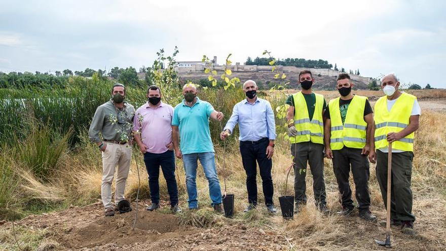 La CHG planta 30 árboles autóctonos en Las Crispitas