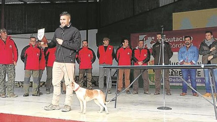 Cañete acogió la final andaluza del podenco y maneto