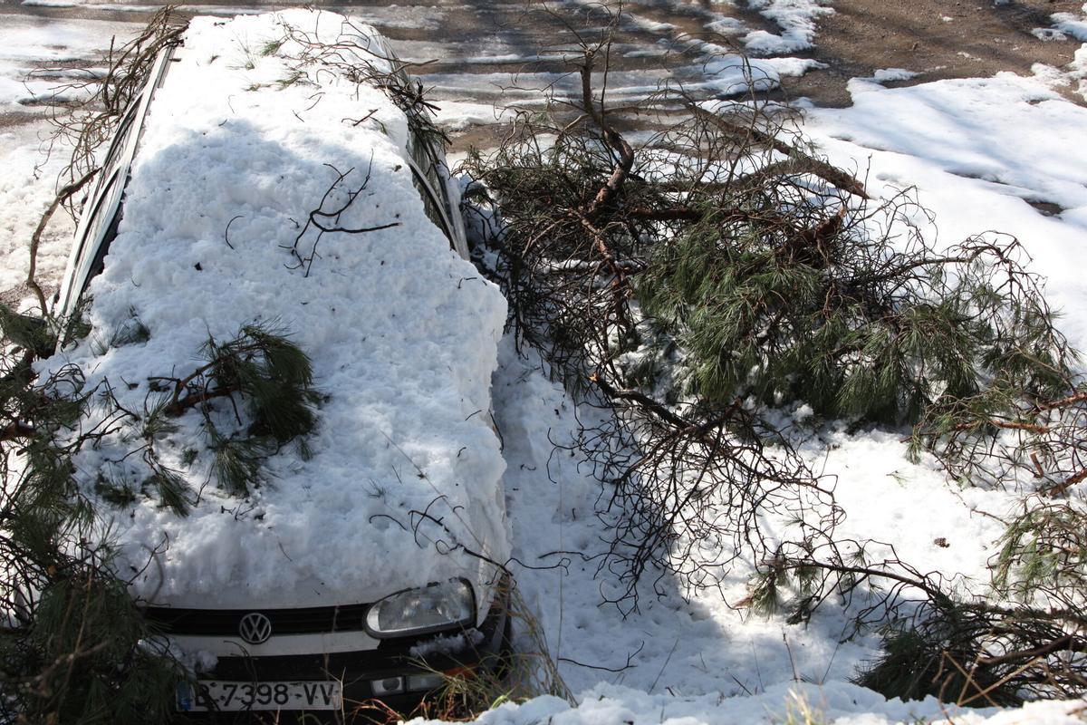 Ramas de árboles caídos en Sant Cugat del Vallés por la nevada de Barcelona, en 2010.
