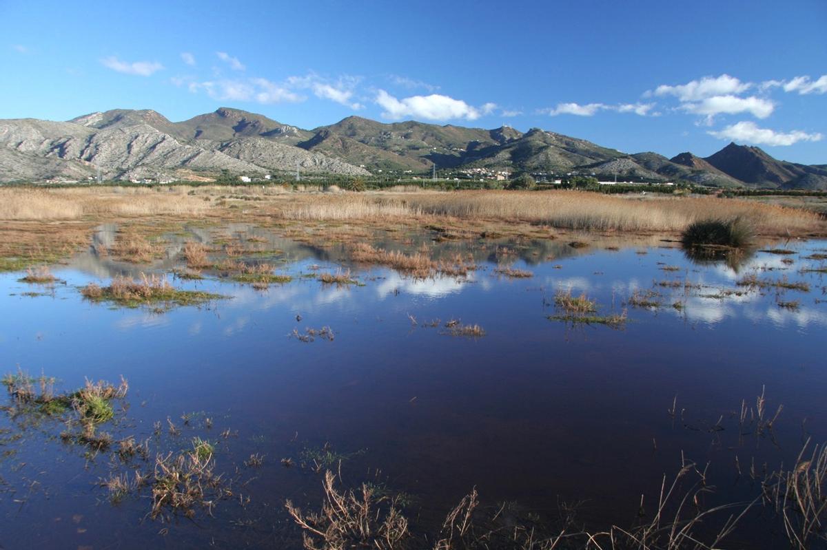 Imagen del Cuadro de Santiago, un enclave natural protegido incluido desde 2022 en el catálogo valenciano de zonas húmedas.