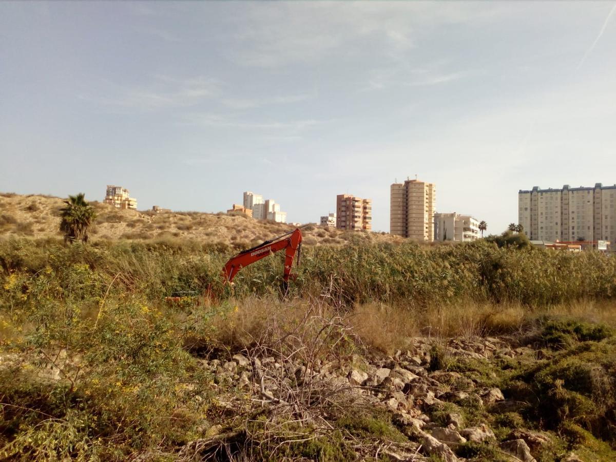 Otra imagen de las tareas de desbroce