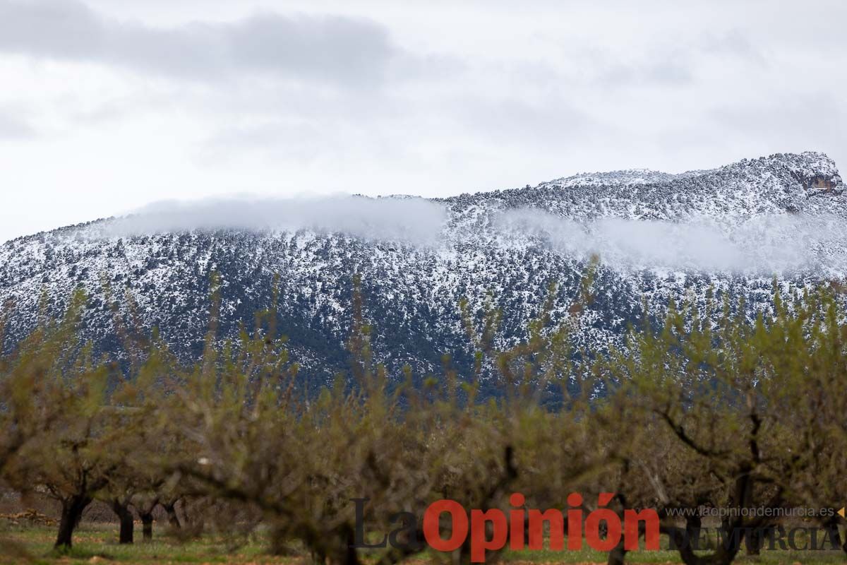 La comarca del Noroeste ofrece una estampa invernal