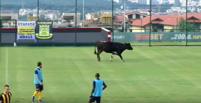 San Fermín llega a Bulgaria