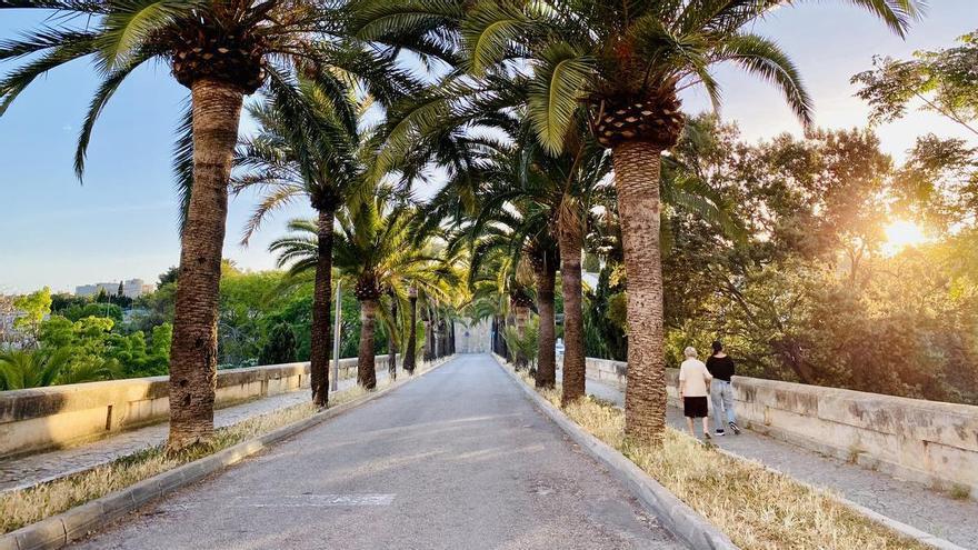 Erste große Hitze: Das Wetter auf Mallorca steuert auf die 40 Grad zu