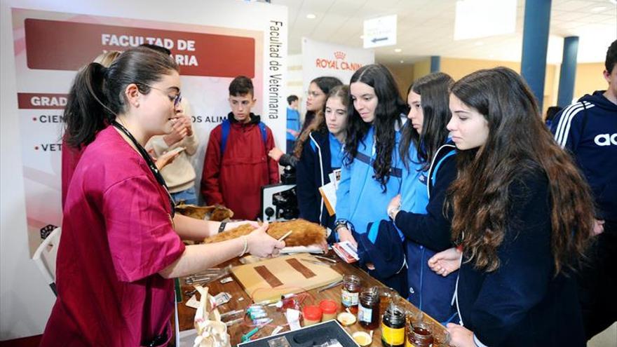 Cómo decidir qué carrera se estudiará