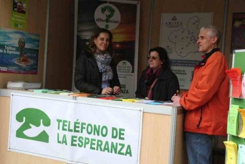 Muestra de Voluntariado en Alfonso X, Murcia