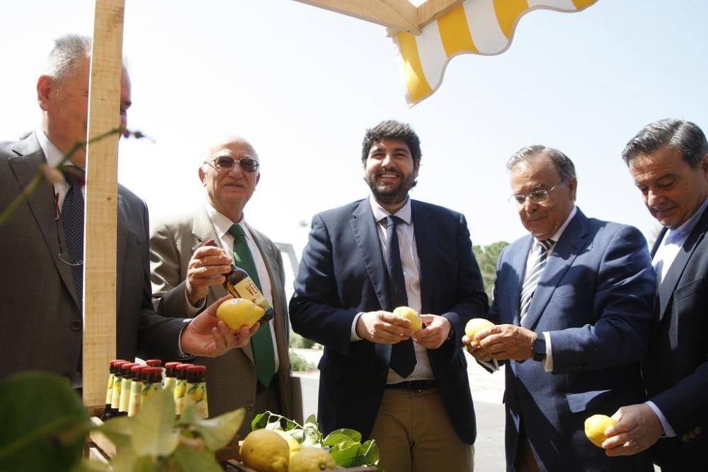 Presentación de 'Verna', la nueva cerveza de Estrella Levante