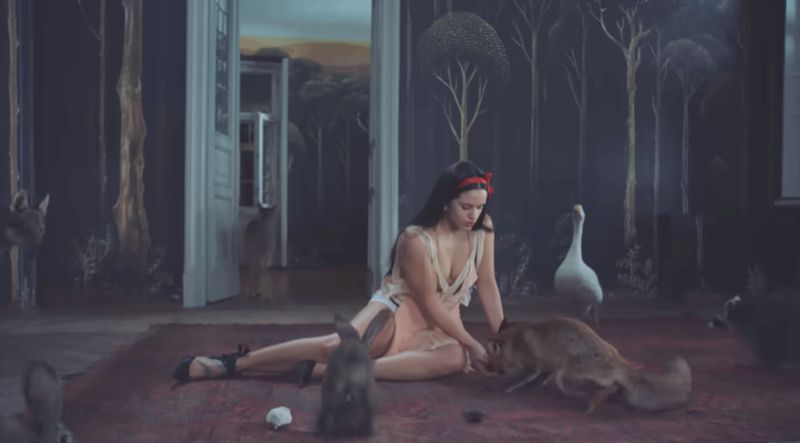 Fotograma donde aparece Rosalía con un zorro