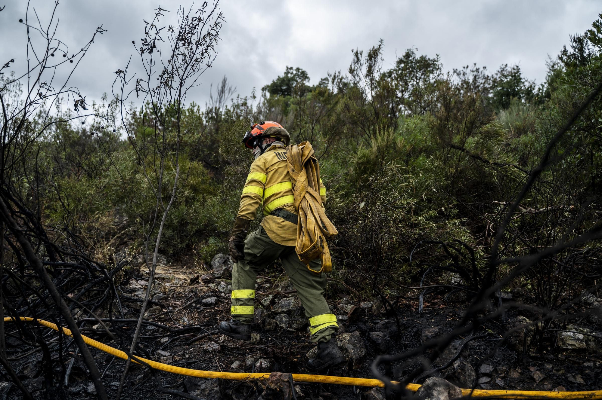 Las imágenes del incendio de este viernes en Cáceres
