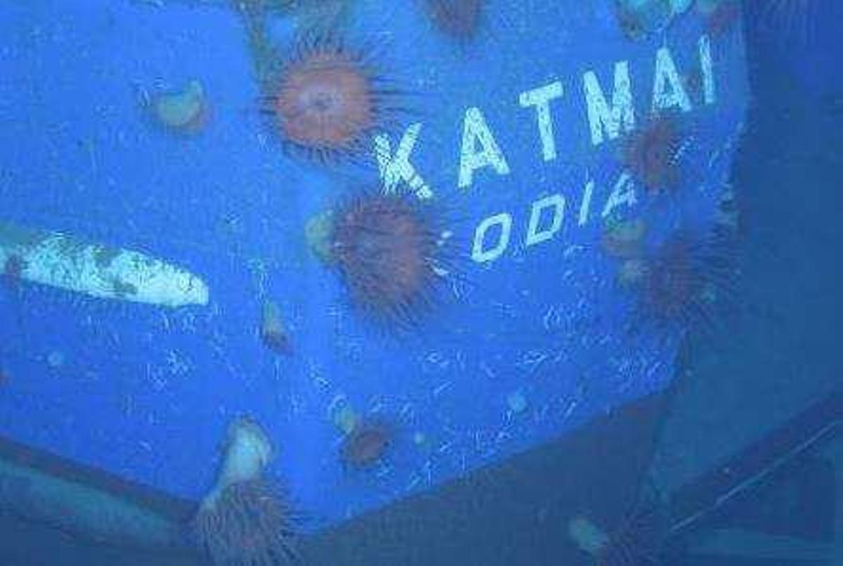 Imagen submarina del “Katmai”,obtenida gracias al “Falkor”. | // BOEM