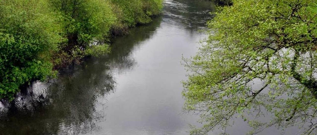 El río Esva, ayer, a su paso por Trevías.