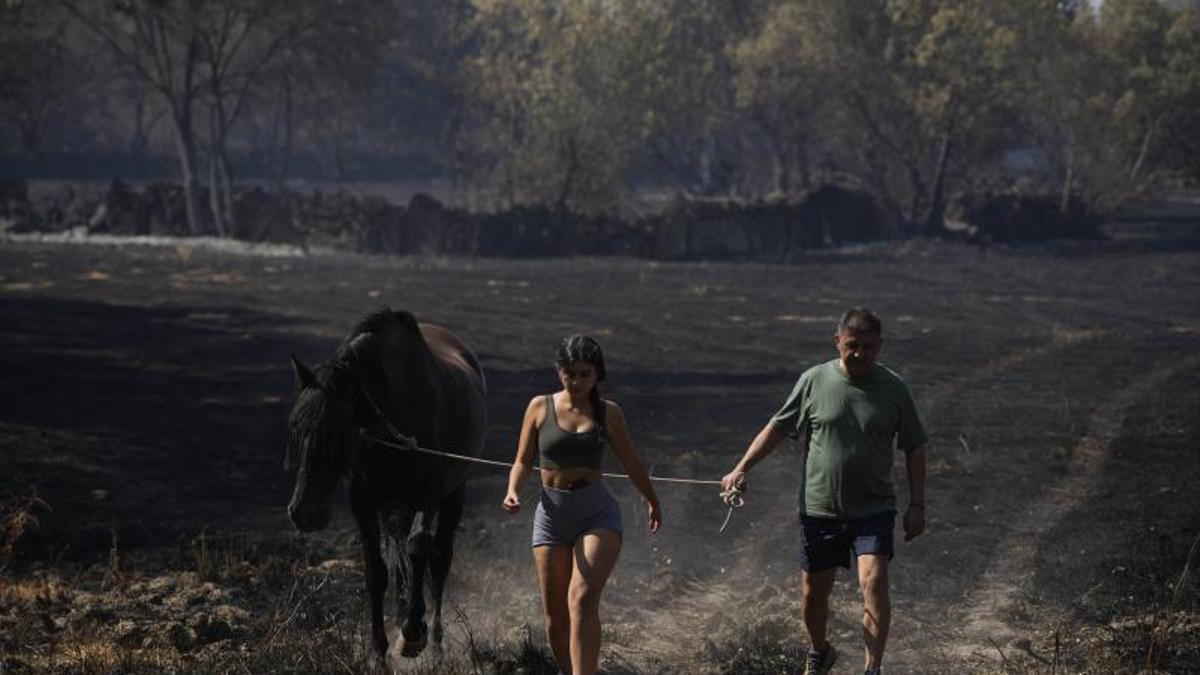 Dos personas con un caballo caminan por la ceniza en Zafara