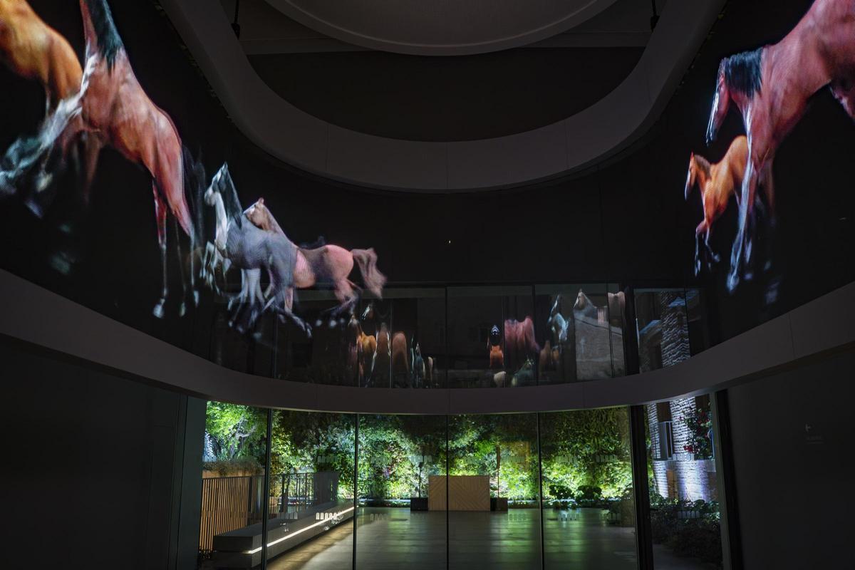 Visita nocturna al Centro.