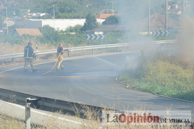 Susto al arder huertos en el Camino de Salabosque