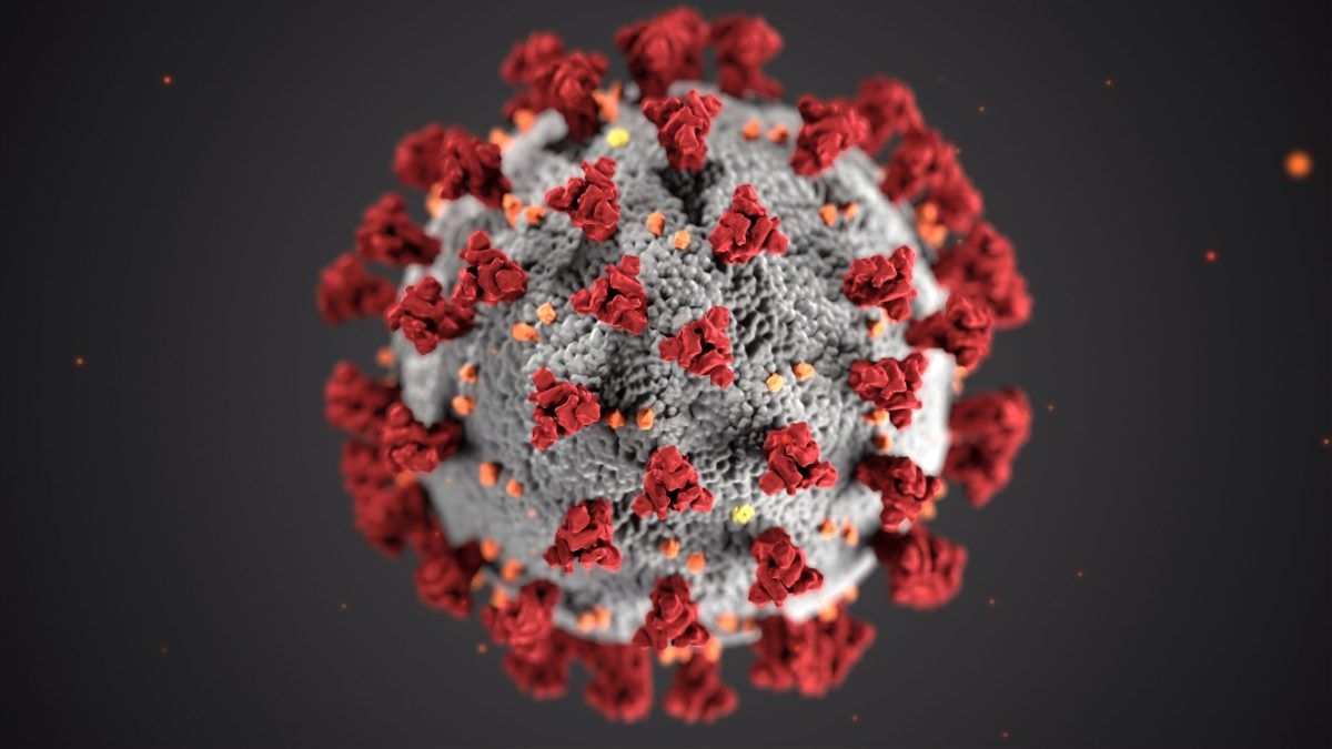 Europa teme a la nueva y peligrosa variante sudafricana del coronavirus