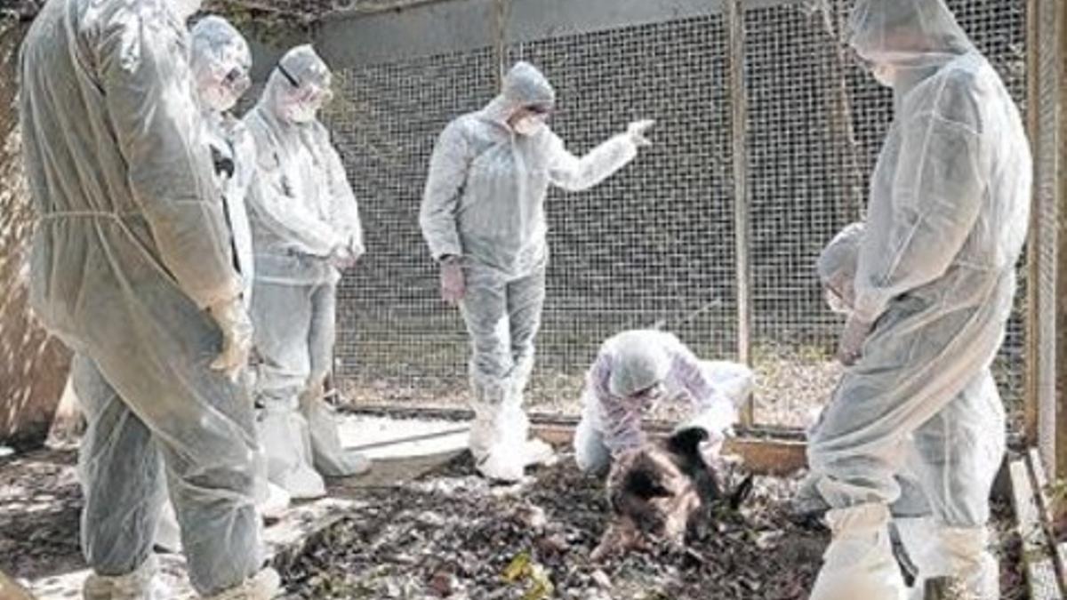 Curso de entomología forense organizado en Collserola por el Col·legi de Biòlegs y BCN Forensics.