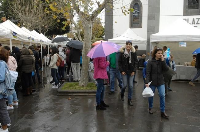 FERIA DE LA PAPA EN FIRGAS