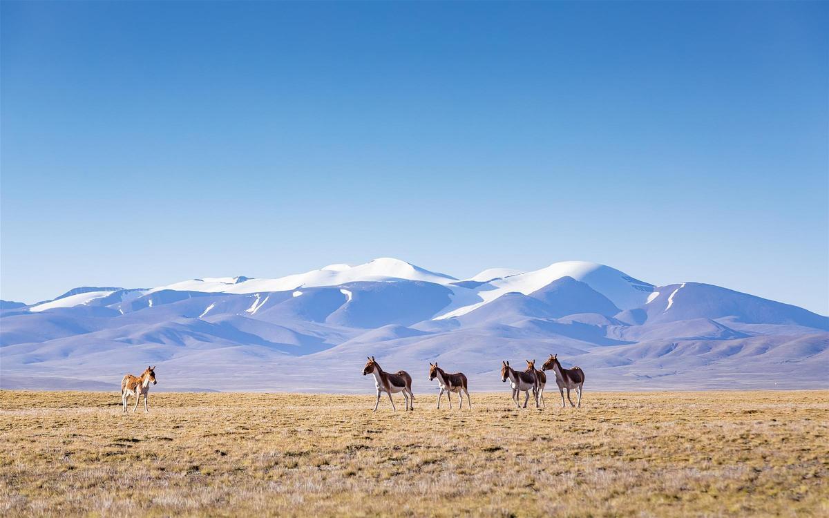 Vista de las montañas tibetanas
