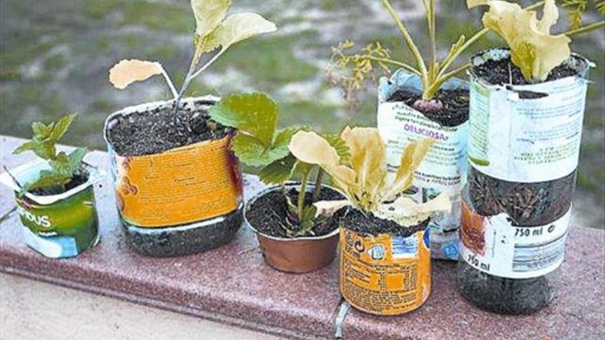 Plantas comestibles que crecen en tiestos reciclados.