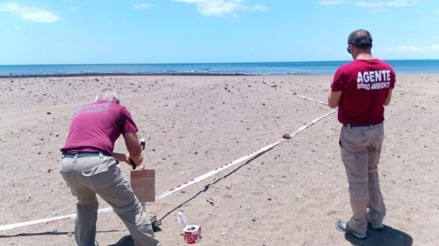 Tramitadas más de 70 denuncias por infracciones medioambientales de enero a abril en Lanzarote