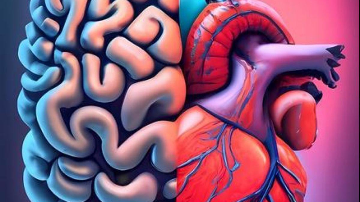 Los investigadores descubrieron una profunda conexión desconocida entre el corazón y el cerebro humanos, que modula la acción y la percepción.