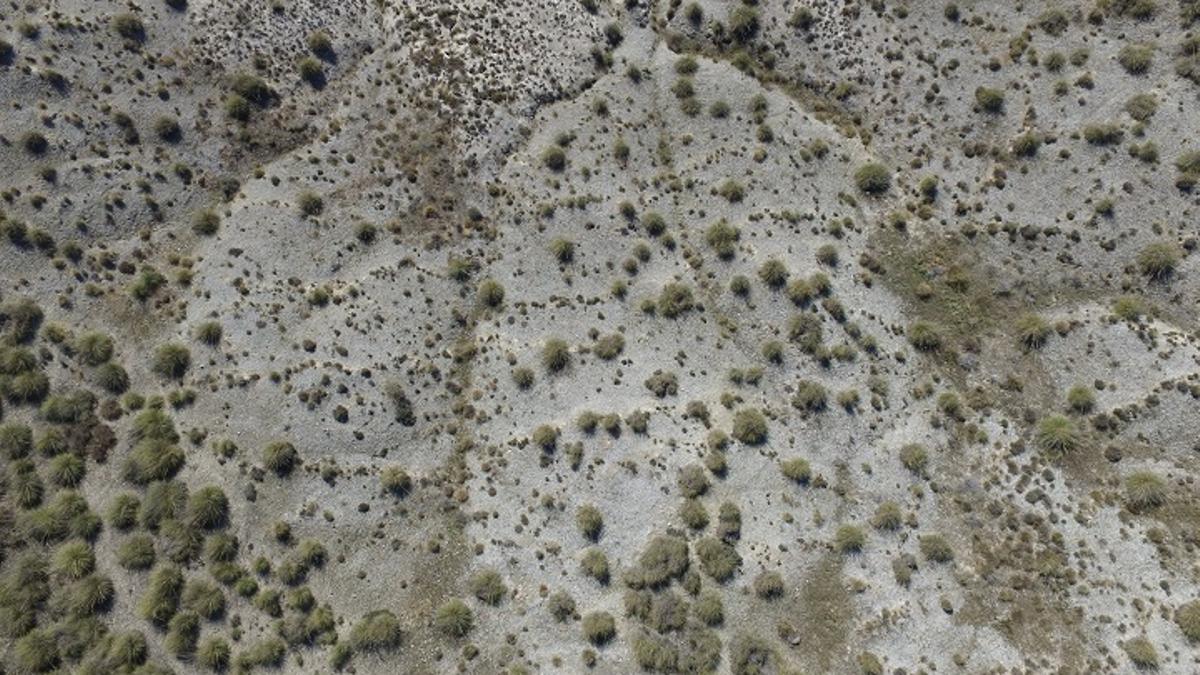 Vista del patrón espacial de la vegetación en las inmediaciones del Salobral de Ocaña (Toledo).