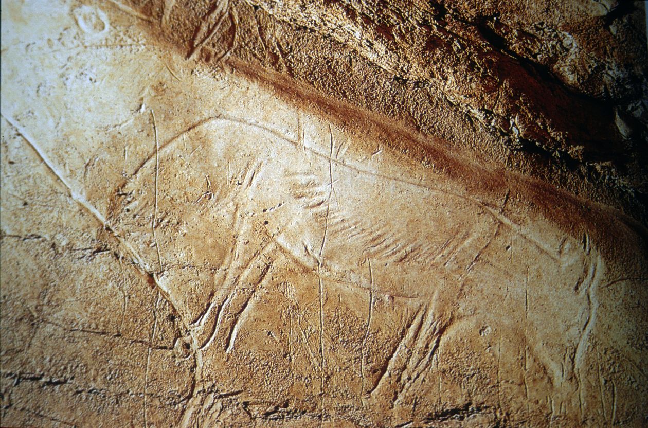 Además de pinturas, también hay grabados de animales como el zorro.