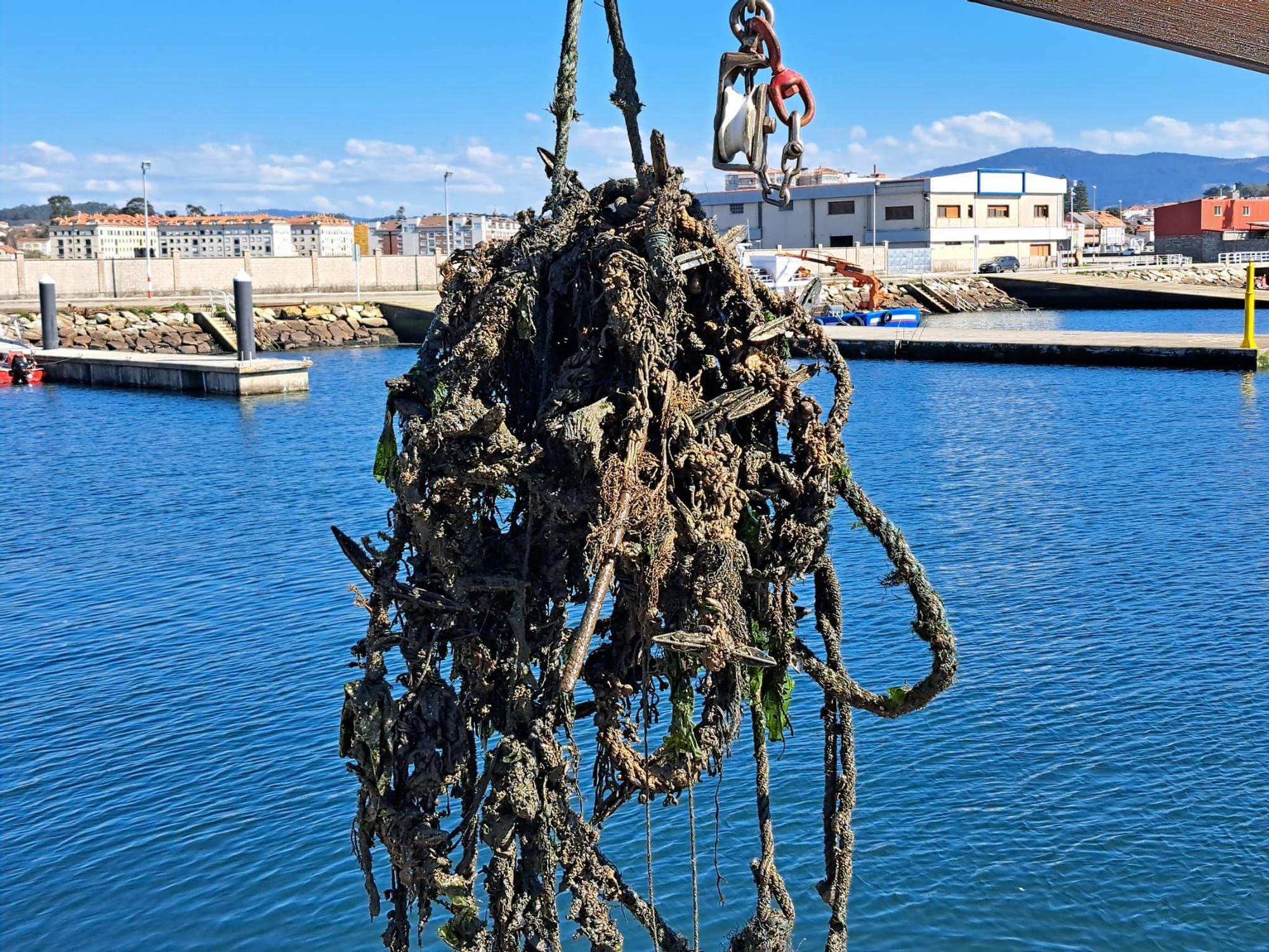 Retirada de basura marina a cargo de la flota de Cambados y Abanca, al abrigo del programa Plancton.