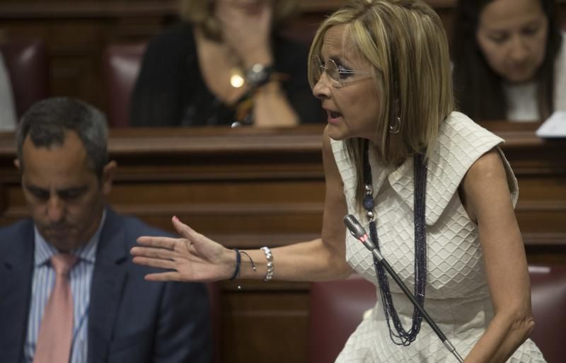 Pleno en el Parlamento de Canarias (21/06/2017)