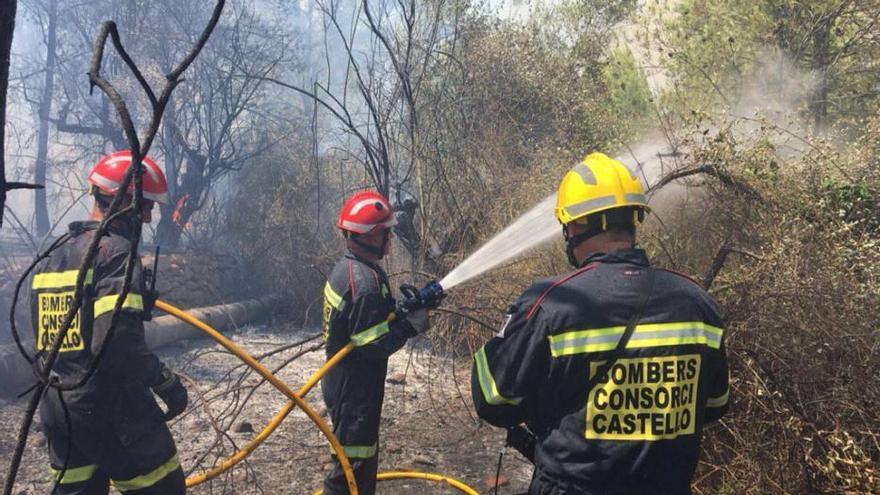 Tareas de extinción del incendio declarado en Artana