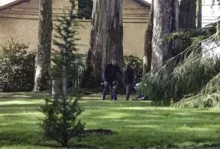 El Jardín Botánico, un tesoro verde en constante evolución